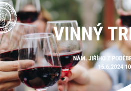 FJV na jiřáku – vinný trh